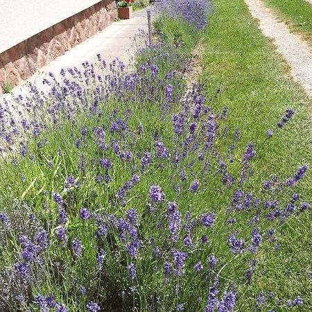 Kis Haz Apartman Zalacsány Extérieur photo